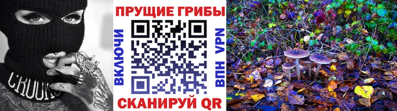Псилоцибиновые грибы мицелий  кракен ТОР  Саратов 